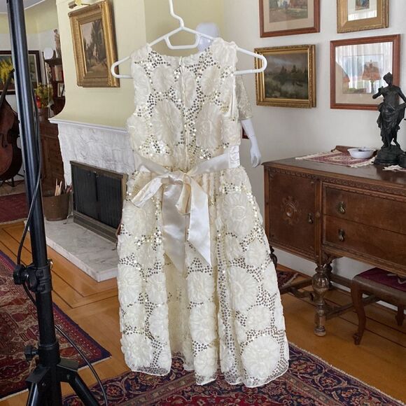 Cinderella Little Girl’s Party Dress - Picture 3 of 13